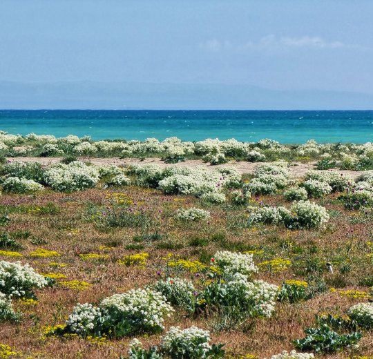 Туры в Евпаторию 2025 - цены на путевки по России из Москвы от туроператора «Пегас Туристик» Туры в Евпаторию 2025 - цены на путевки по России из Москвы от туроператора «Пегас Туристик»