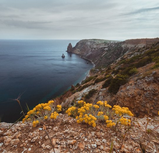 Туры в Саки 2025 - цены на путевки по России из Москвы от туроператора «Пегас Туристик»