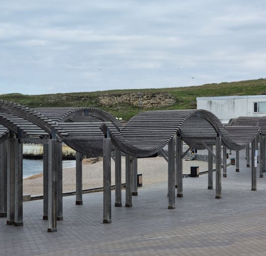 Туры в Феодосию 2025 - цены на путевки по России из Москвы от туроператора «Пегас Туристик»