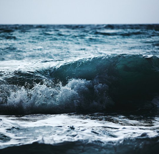 Туры в Ялту 2025 - цены на путевки по России из Москвы от туроператора «Пегас Туристик»