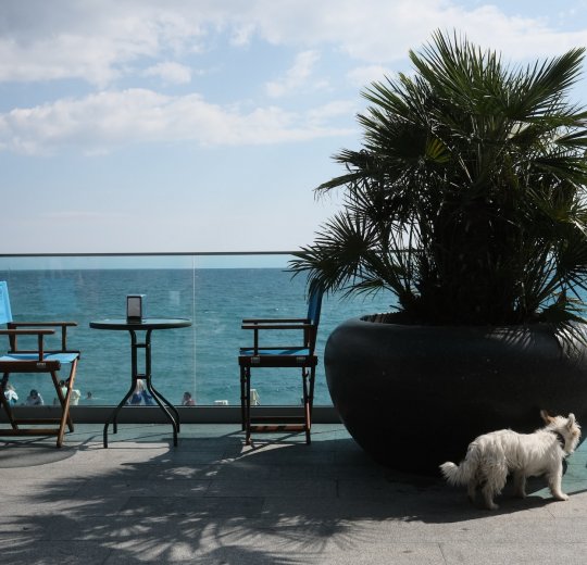 Туры в Ялту 2025 - цены на путевки по России из Москвы от туроператора «Пегас Туристик»