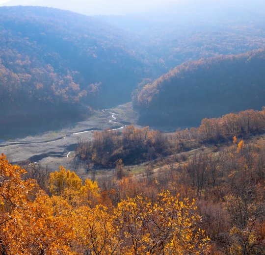 Туры в Массандру 2025 - цены на путевки по России из Москвы от туроператора «Пегас Туристик»