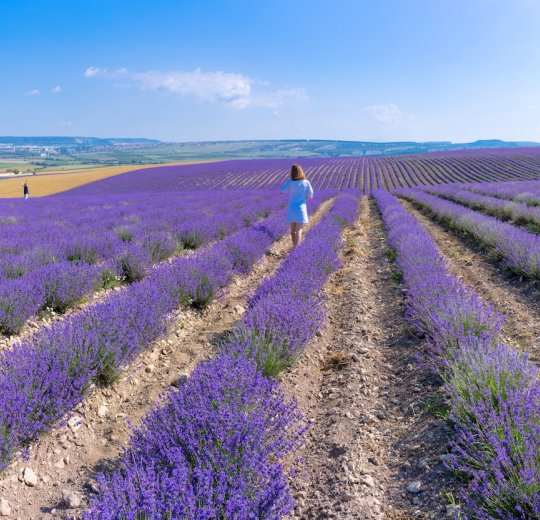 Туры в Бахчисарай 2025 - цены на путевки по России из Москвы от туроператора «Пегас Туристик» Туры в Бахчисарай 2025 - цены на путевки по России из Москвы от туроператора «Пегас Туристик»