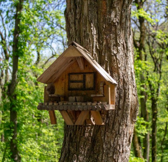 Туры в Ессентуки 2025 - цены на путевки по России из Москвы от туроператора «Пегас Туристик»