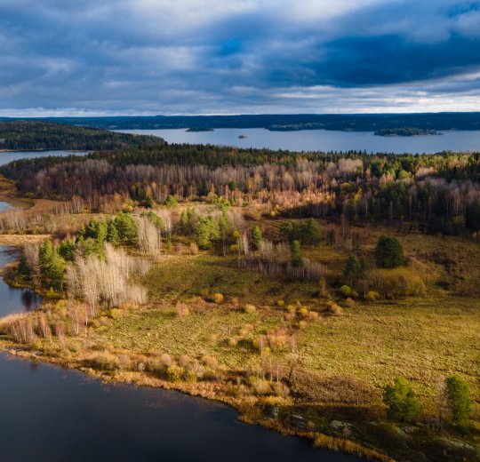Туры в Карелию 2025 - цены на путевки по России из Москвы от туроператора «Пегас Туристик» Туры в Карелию 2025 - цены на путевки по России из Москвы от туроператора «Пегас Туристик»