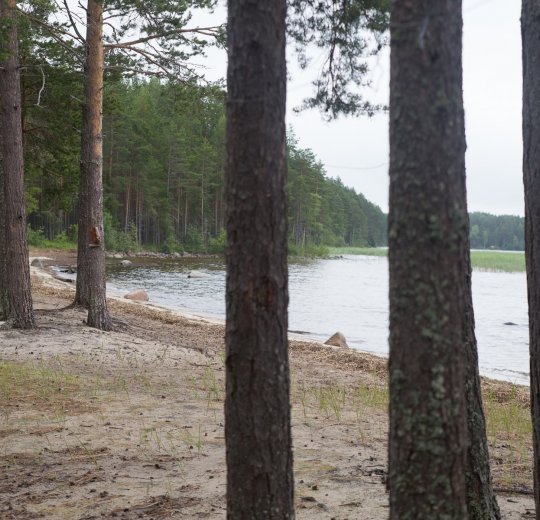 Туры в Карелию 2025 - цены на путевки по России из Москвы от туроператора «Пегас Туристик» Туры в Карелию 2025 - цены на путевки по России из Москвы от туроператора «Пегас Туристик»