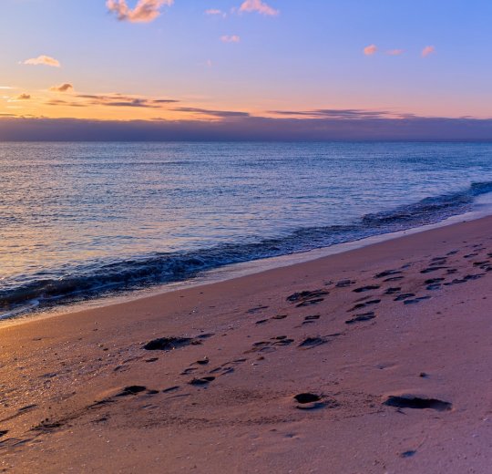 Туры в Керчь 2025 - цены на путевки по России из Москвы от туроператора «Пегас Туристик» Туры в Керчь 2025 - цены на путевки по России из Москвы от туроператора «Пегас Туристик»