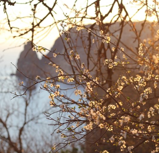 Туры в Керчь 2025 - цены на путевки по России из Москвы от туроператора «Пегас Туристик» Туры в Керчь 2025 - цены на путевки по России из Москвы от туроператора «Пегас Туристик»