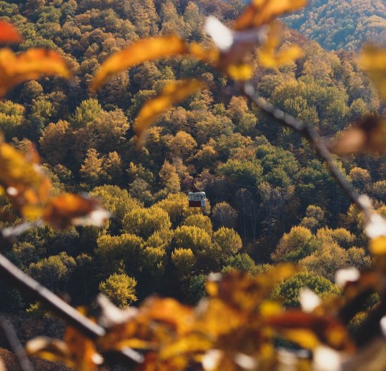 Туры в Кисловодск 2025 - цены на путевки по России из Москвы от туроператора «Пегас Туристик»