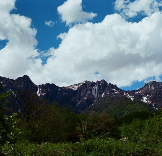 Туры в Красную Поляну 2025 - цены на путевки по России из Москвы от туроператора «Пегас Туристик»