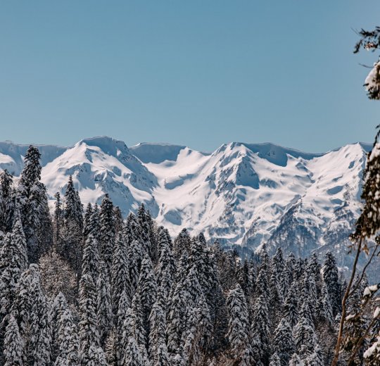 Туры в Красную Поляну 2025 - цены на путевки по России из Москвы от туроператора «Пегас Туристик»