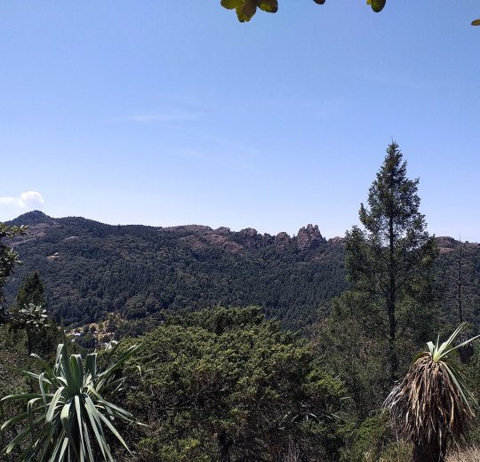 Туры в Миниральные воды 2025 - цены на путевки по России из Москвы от туроператора «Пегас Туристик»