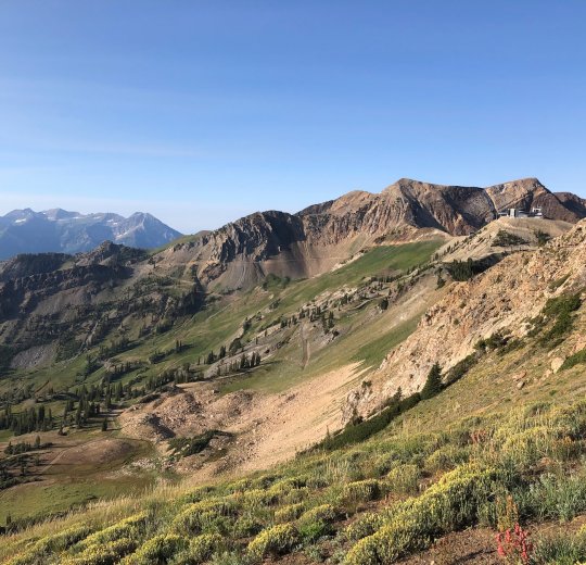 Туры в Миниральные воды 2025 - цены на путевки по России из Москвы от туроператора «Пегас Туристик»