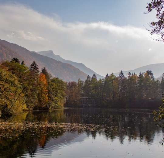 Туры в Миниральные воды 2025 - цены на путевки по России из Москвы от туроператора «Пегас Туристик»
