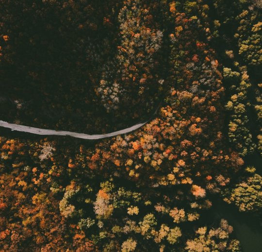 Туры в Новороссийск 2025 - цены на путевки по России из Москвы от туроператора «Пегас Туристик»