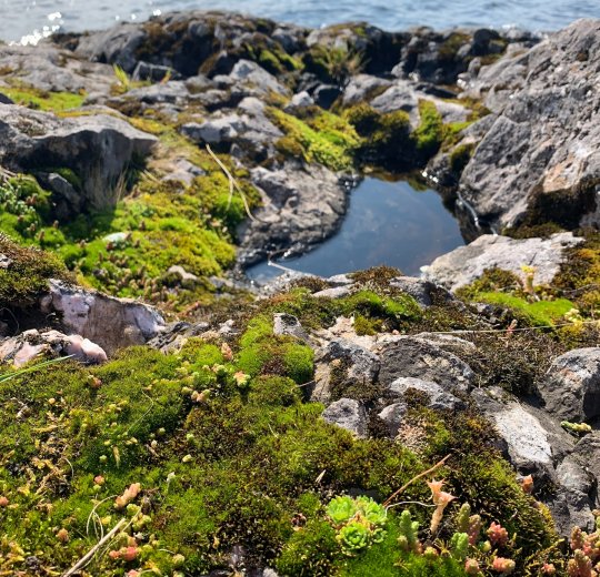 Туры в Петрозаводск 2025 - цены на путевки по России из Москвы от туроператора «Пегас Туристик»