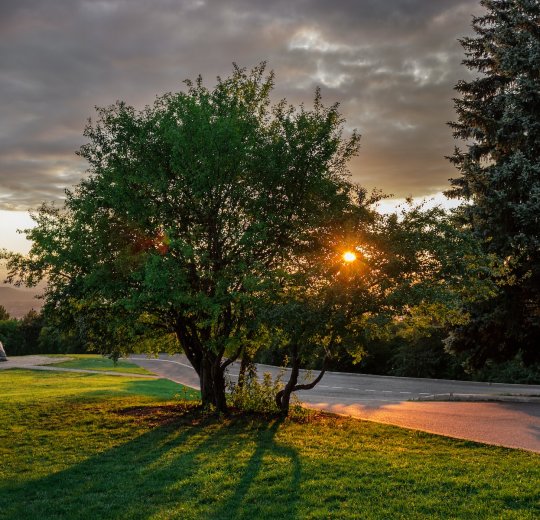 Туры в Пятигорск 2025 - цены на путевки по России из Москвы от туроператора «Пегас Туристик»