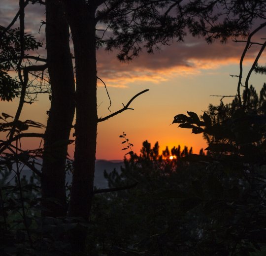 Туры в Пятигорск 2025 - цены на путевки по России из Москвы от туроператора «Пегас Туристик»