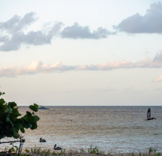 Туры в Соловецкие острова 2025 - цены на путевки по России из Москвы от туроператора «Пегас Туристик»