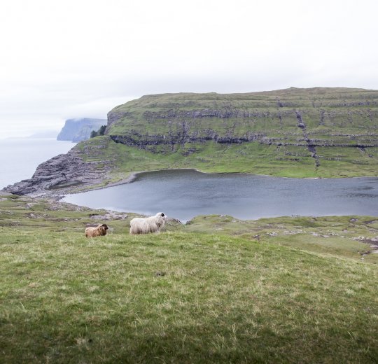 Туры в Соловецкие острова 2025 - цены на путевки по России из Москвы от туроператора «Пегас Туристик»