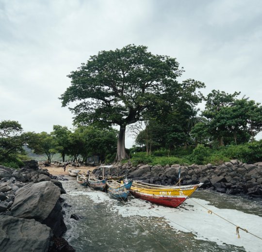 Туры в Соловецкие острова 2025 - цены на путевки по России из Москвы от туроператора «Пегас Туристик»