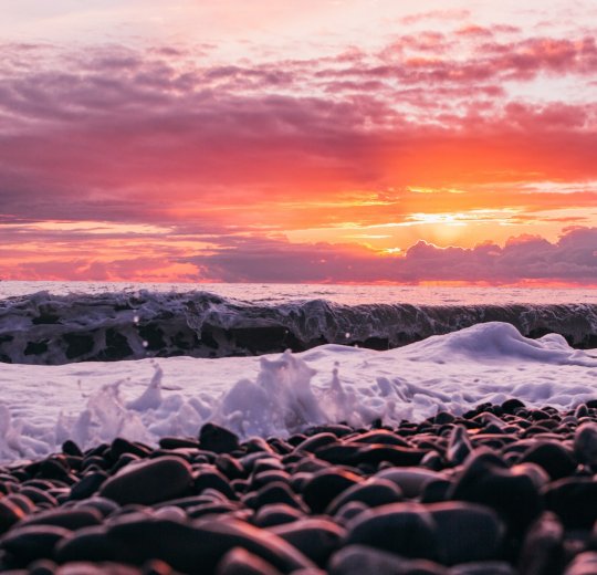 Туры в Сочи 2025 - цены на путевки по России из Москвы от туроператора «Пегас Туристик»