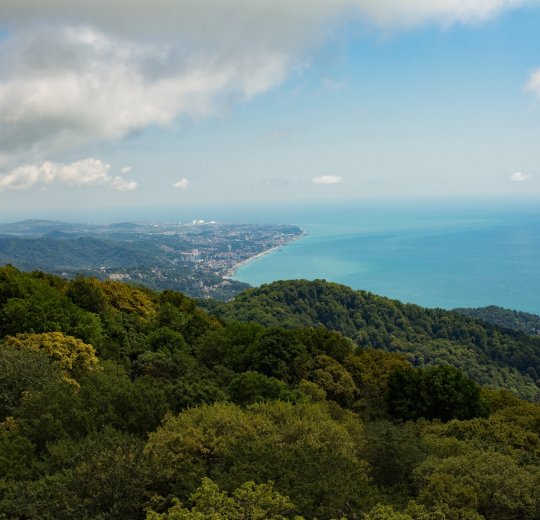 Туры в Сочи 2025 - цены на путевки по России из Москвы от туроператора «Пегас Туристик»