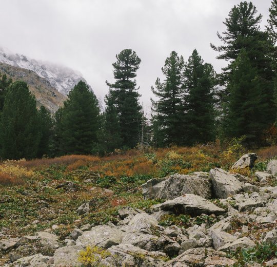 Туры в Краснодарский край 2025 - цены на путевки по России из Москвы от туроператора «Пегас Туристик»