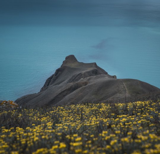 Туры в Коктебель 2025 - цены на путевки по России из Москвы от туроператора «Пегас Туристик»