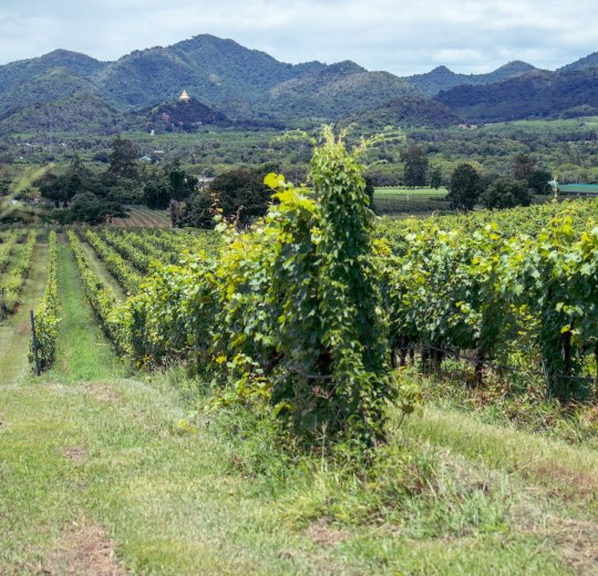 Туры в Хуа Хин 2025 - цены на путевки в Таиланд из Москвы от туроператора «Пегас Туристик» Туры в Хуа Хин 2025 - цены на путевки в Таиланд из Москвы от туроператора «Пегас Туристик»