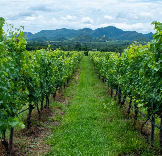 Туры в Хуа Хин 2025 - цены на путевки в Таиланд из Москвы от туроператора «Пегас Туристик» Туры в Хуа Хин 2025 - цены на путевки в Таиланд из Москвы от туроператора «Пегас Туристик»