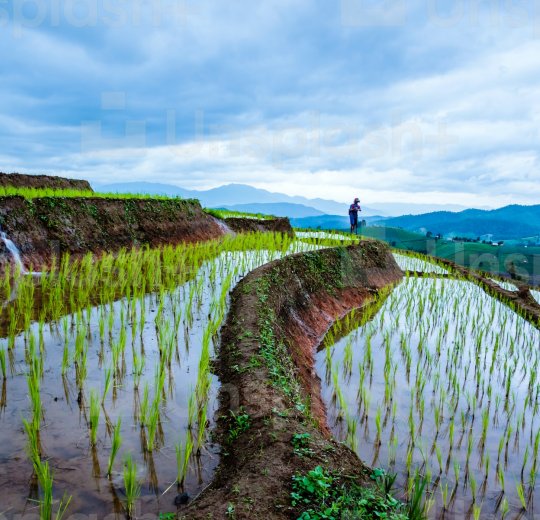 Туры в Чианг Маи 2025 - цены на путевки в Таиланд из Москвы от туроператора «Пегас Туристик» Туры в Чианг Маи 2025 - цены на путевки в Таиланд из Москвы от туроператора «Пегас Туристик»