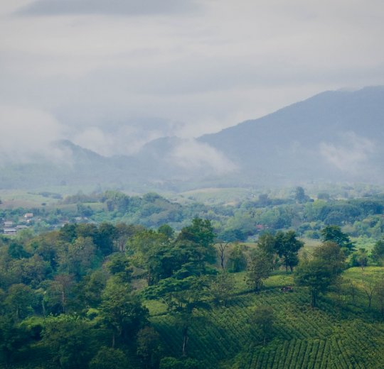 Туры в Чианг Маи 2025 - цены на путевки в Таиланд из Москвы от туроператора «Пегас Туристик» Туры в Чианг Маи 2025 - цены на путевки в Таиланд из Москвы от туроператора «Пегас Туристик»