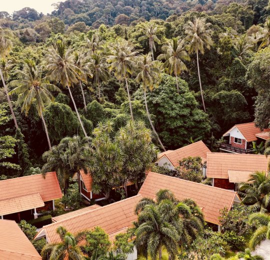 Туры на о.Самуи 2025 - цены на путевки в Таиланд из Москвы от туроператора «Пегас Туристик» Туры на о.Самуи 2025 - цены на путевки в Таиланд из Москвы от туроператора «Пегас Туристик»