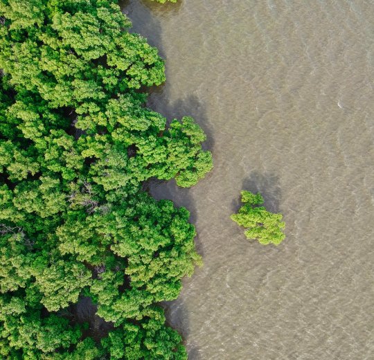 Туры на о. Чанг 2025 - цены на путевки в Таиланд из Москвы от туроператора «Пегас Туристик» Туры на о. Чанг 2025 - цены на путевки в Таиланд из Москвы от туроператора «Пегас Туристик»