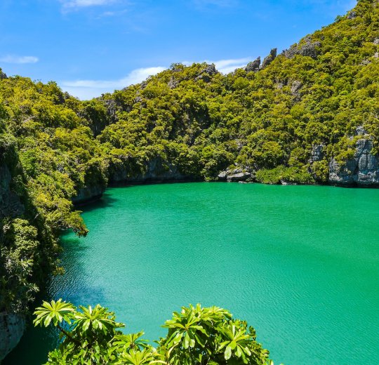 Туры в Ко Панган 2025 - цены на путевки в Таиланд из Москвы от туроператора «Пегас Туристик» Туры в Ко Панган 2025 - цены на путевки в Таиланд из Москвы от туроператора «Пегас Туристик»