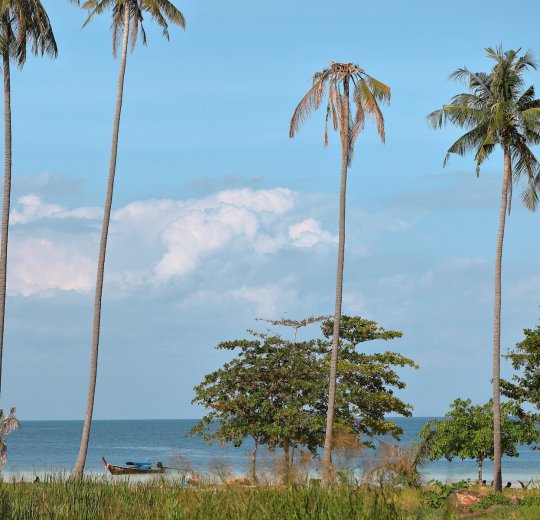 Туры в Сарабури 2025 - цены на путевки в Таиланд из Москвы от туроператора «Пегас Туристик» Туры в Сарабури 2025 - цены на путевки в Таиланд из Москвы от туроператора «Пегас Туристик»