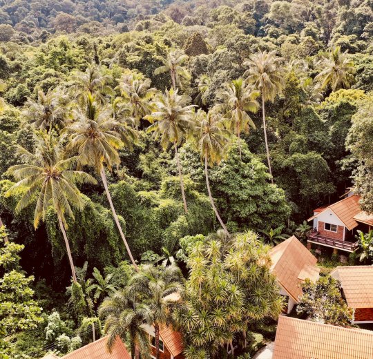 Туры в Сатун 2025 - цены на путевки в Таиланд из Москвы от туроператора «Пегас Туристик» Туры в Сатун 2025 - цены на путевки в Таиланд из Москвы от туроператора «Пегас Туристик»