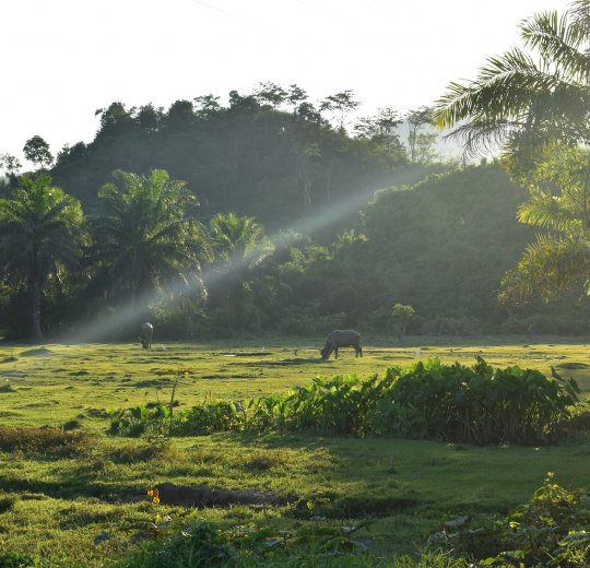Туры в Утхай Тхани 2025 - цены на путевки в Таиланд из Москвы от туроператора «Пегас Туристик»