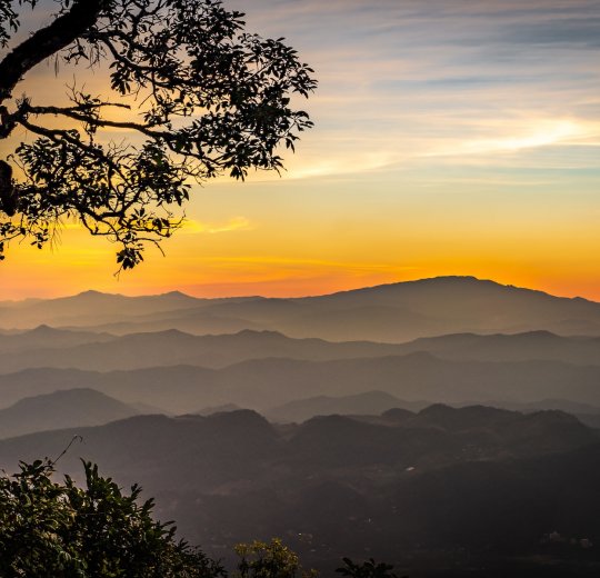 Туры в Чианг Раи 2025 - цены на путевки в Таиланд из Москвы от туроператора «Пегас Туристик»