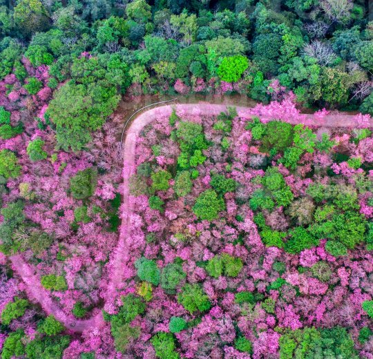 Туры в Чианг Раи 2025 - цены на путевки в Таиланд из Москвы от туроператора «Пегас Туристик»