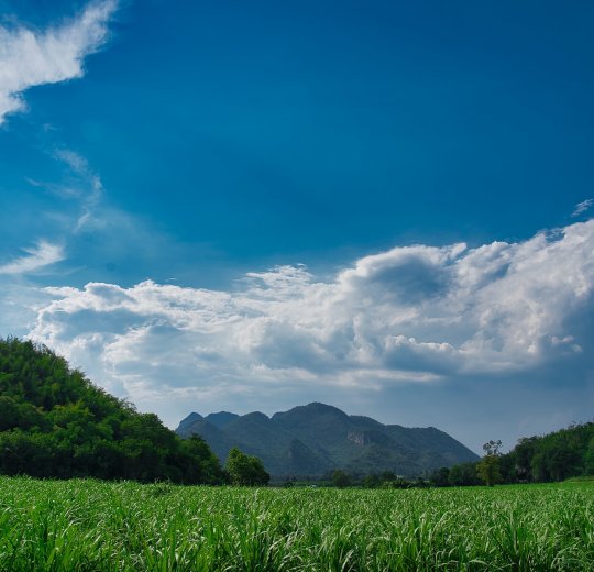 Туры в Чумпхон 2025 - цены на путевки в Таиланд из Москвы от туроператора «Пегас Туристик» Туры в Чумпхон 2025 - цены на путевки в Таиланд из Москвы от туроператора «Пегас Туристик»