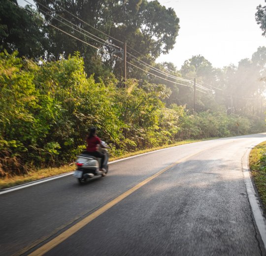 Туры в Трат 2025 - цены на путевки в Таиланд из Москвы от туроператора «Пегас Туристик» Туры в Трат 2025 - цены на путевки в Таиланд из Москвы от туроператора «Пегас Туристик»