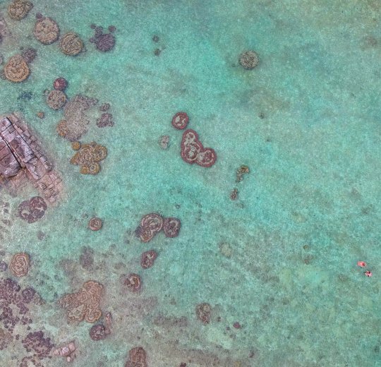 Туры в Ко Тао 2025 - цены на путевки в Таиланд из Москвы от туроператора «Пегас Туристик» Туры в Ко Тао 2025 - цены на путевки в Таиланд из Москвы от туроператора «Пегас Туристик»