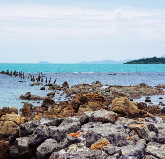 Туры в Сураттани 2025 - цены на путевки в Таиланд из Москвы от туроператора «Пегас Туристик» Туры в Сураттани 2025 - цены на путевки в Таиланд из Москвы от туроператора «Пегас Туристик»