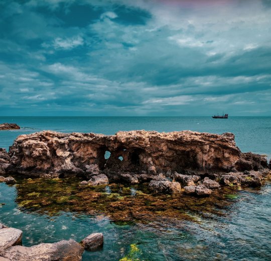 Туры в Монастир 2025 - цены на путевки в Тунис из Москвы от туроператора «Пегас Туристик»