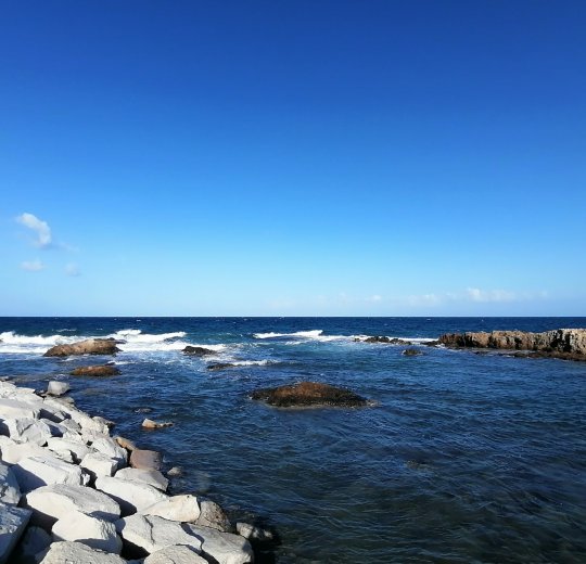 Туры в Монастир 2025 - цены на путевки в Тунис из Москвы от туроператора «Пегас Туристик»