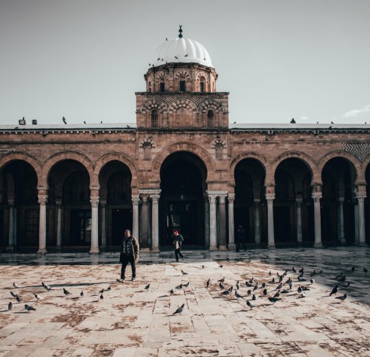 Туры в Монастир 2025 - цены на путевки в Тунис из Москвы от туроператора «Пегас Туристик»