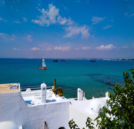 Туры в Хаммамет 2025 - цены на путевки в Тунис из Москвы от туроператора «Пегас Туристик»