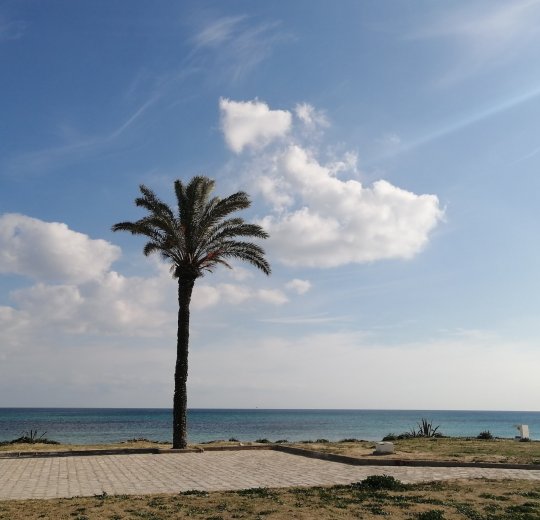 Туры в Хаммамет 2025 - цены на путевки в Тунис из Москвы от туроператора «Пегас Туристик»